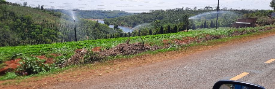 Họ Trần Cover Image