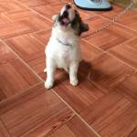 Truong quo ở Gio Linh, Quảng Trị - Hi