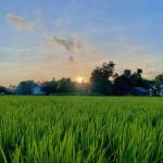 Trần hoài  ở Quận 1, TP Hồ Chí Minh - Thích gái dâm