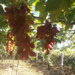 Minh Quân ở Buôn Ma Thuột, Đắk Lắk - Vui vẻ..mạnh mẽ và ấm áp