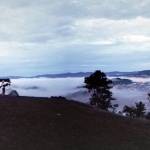 Huujen ở Quận 6, TP Hồ Chí Minh - Rất mong tìm được bạn hợp ý