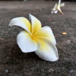 Duc ở Thủ Dầu Một, Bình Dương - nam thẳng, cao 1m60, vui vẻ, l