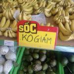 Dicnf ở Ba Đình, Hà Nội - Đã xoá