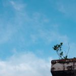 trần trung ở Quận 12, TP Hồ Chí Minh - nhút nhát