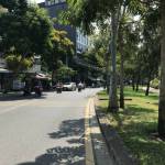 Vương ở Phú Nhuận, TP Hồ Chí Minh - Trầm tính