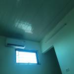 Hoàng Long ở Ba Đình, Hà Nội - Chim dài 17cm