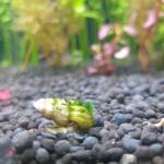 Duy thanh ở Thủ Đức, TP Hồ Chí Minh - Người vui vẻ hòa đồng....nhưng