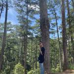 Nguyễn Quố ở Thủ Đức, TP Hồ Chí Minh - Cao khoẻ