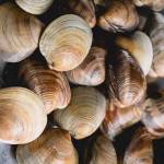 Hiếu ở Bàu Bàng, Bình Dương - Yêu các bạn nữ