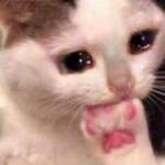 Minh ở Quận 1, TP Hồ Chí Minh - Mình ko muốn ng quen thấy nên 