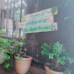 Lê ở Hóc Môn, TP Hồ Chí Minh - Vui.vẻ ít.nói