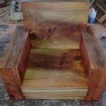 letrongphu ở Đô Lương, Nghệ An - song tinh cam