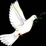 Tien ở Ninh Kiều, Cần Thơ - Vui vẻ,..