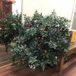 Thành Ngọc ở Đống Đa, Hà Nội - Tình cảm . Chân thành . Yêu gi