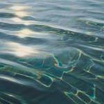 tim ban gay top bot Minh Nhat