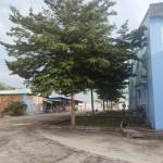 Tai ở Trảng Bom, Đồng Nai - Muôn tim nguoi tam sư nhung ba