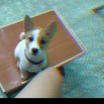 Sy - tim ban trai da ly hon qua so dien thoai