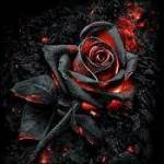 Nguyễn Tiế ở Gò Vấp, TP Hồ Chí Minh - Vui vẻ hòa đồng