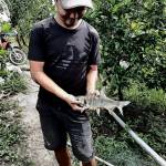 Huỳnh than ở Cái Bè, Tiền Giang - Vui vẽ ,hoa đồng