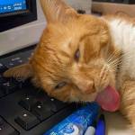 z ở Ngũ Hành Sơn, Đà Nẵng - Tìm FWB với tinh thần tử tế và