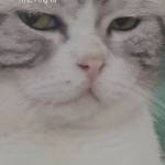 Hoàng anh ở Nha Trang, Khánh Hòa - Tìm bạn đời bạn tình bạn gái b