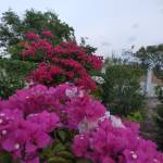 Trinh ở Quế Sơn, Quảng Nam - Hoà đồng , vui vẻ