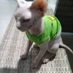 Nguyễn Khá ở Long Thành, Đồng Nai - Mình thích có một mái ấm