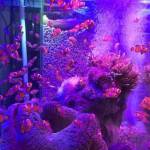 Trần Trung ở Vạn Ninh, Khánh Hòa - Vui vẻ. Không giận hờn lâu.