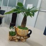 Bảo An đang tìm bạn hẹn hò qua mạng