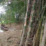 Me. Tran ở Hàm Tân, Bình Thuận - Giao lưu lam quen tam su