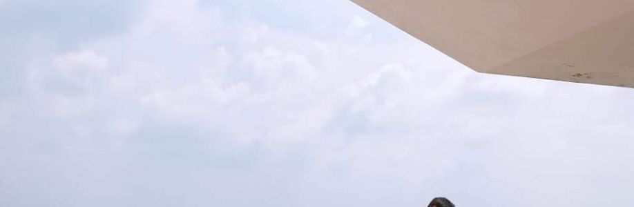 Trung Hiếu Cover Image