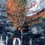 Shin ở Liên Chiểu, Đà Nẵng - Vui vẻ