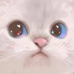 Private Na ở Hải Châu, Đà Nẵng - Ko có