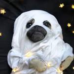 mã minh kh ở Đức Hòa, Long An - lạ