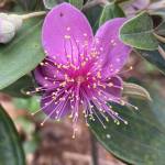 Hung ở Buôn Đôn, Đắk Lắk - Thix là nhích. Vui vẻ, dễ gần,