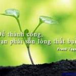 Nhan Nguye ở Thanh Khê, Đà Nẵng - Tim Ny