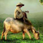 an ở Sơn Trà, Đà Nẵng - chân thành