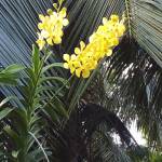 Trần Hoài  ở Hóc Môn, TP Hồ Chí Minh - Chân thành trong tình cảm, muố