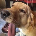 Luân ở Quận 12, TP Hồ Chí Minh - Tìm người iu