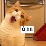 ImDzy ở Xuân Lộc, Đồng Nai - E lập cái nick này chỉ để tìm 