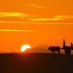 vương ở Vũng Tàu, Bà Rịa - Vũng Tàu - buồn thôi