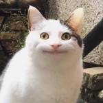 Huynhthien tim ban les fem qua so dien thoai