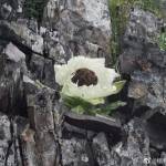 Hữu Khang ở Hải Châu, Đà Nẵng - Tìm 1 nữa chân ái