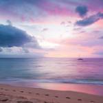 Thắm là viet kieu my tim vo