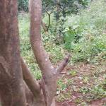 Khánh ở Bắc Từ Liêm, Hà Nội - Ahihi