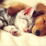 HoangTrong ở Ninh Kiều, Cần Thơ - Hi, mình tìm bạn đi chơi cùng,