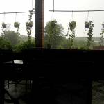 Tú ở Phan Thiết, Bình Thuận - Tìm bạn nữ