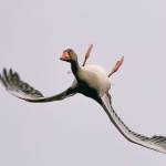 Thanh ở Mỹ Tho, Tiền Giang - Vui vẻ hòa đồng