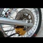 Mr dam ở Cao Lãnh, Đồng Tháp - Vui vẻ hòa đồng,năng động