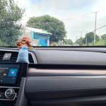 Long ở Đất Đỏ, Bà Rịa - Vũng Tàu - Trầm tính